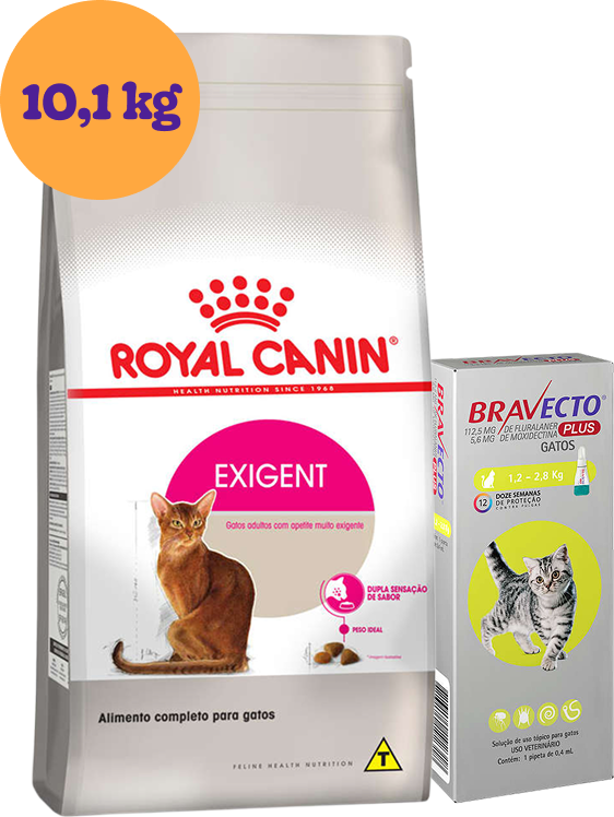 Kit Ração Royal Canin Exigent Gatos Adultos 10,1Kg e Antipulgas Bravecto Transdermal Gatos 1,2 a 2,8Kg KIT - KIT