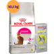 Kit Ração Royal Canin Exigent Gatos Adultos 10,1 Kg e Antipulgas Bravecto Transdermal Gatos 1,2 a 2,8 Kg - KIT