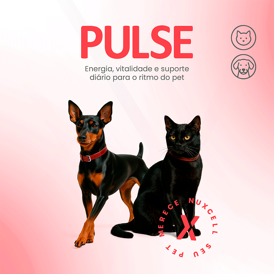 Suplemento Alimentar BioSyn Nuxcell Pulse para Cães e Gatos - 2 g