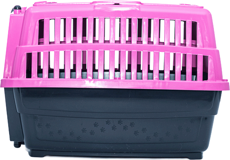 Caixa de Transporte Pet Injet Love Travel New Rosa para Cães - Tam. G