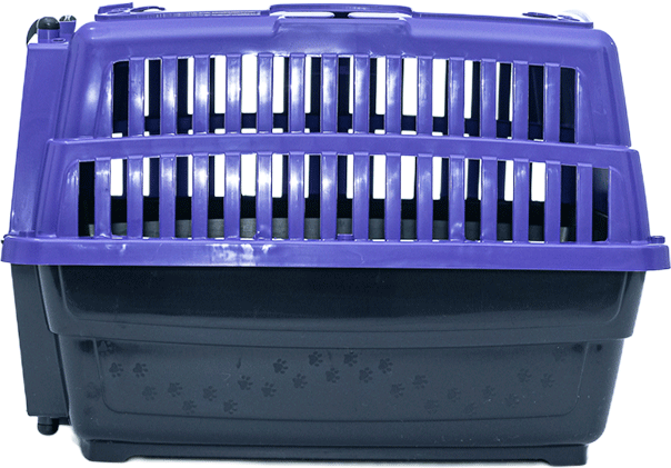 Caixa de Transporte Pet Injet Love Travel New Lilás para Cães - Tam. M