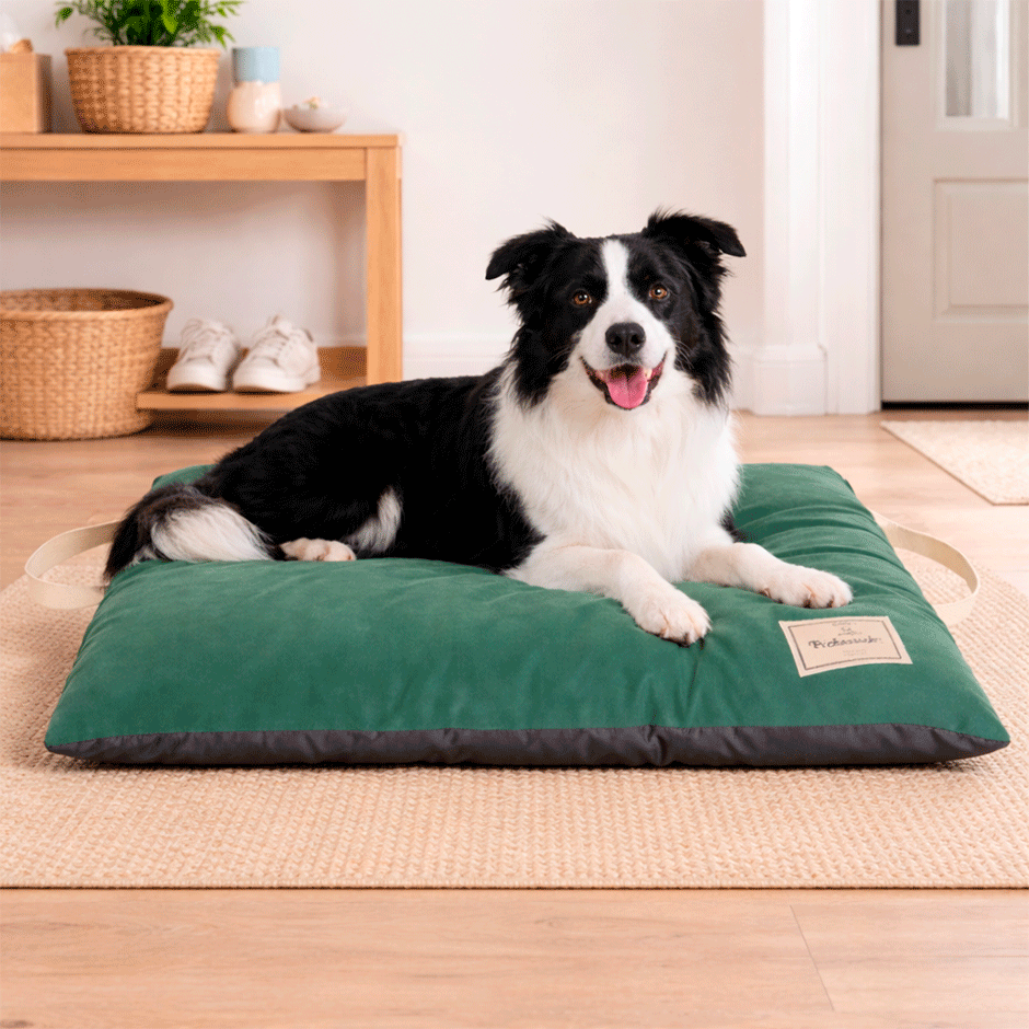 Almofada Pickorruchos Supreme Militar para Cães e Gatos - Tam. G
