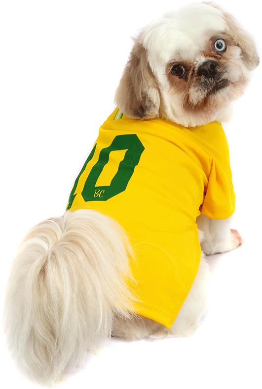 Camiseta Brasil Bichinho Chic para Cães e Gatos - Tam. 09