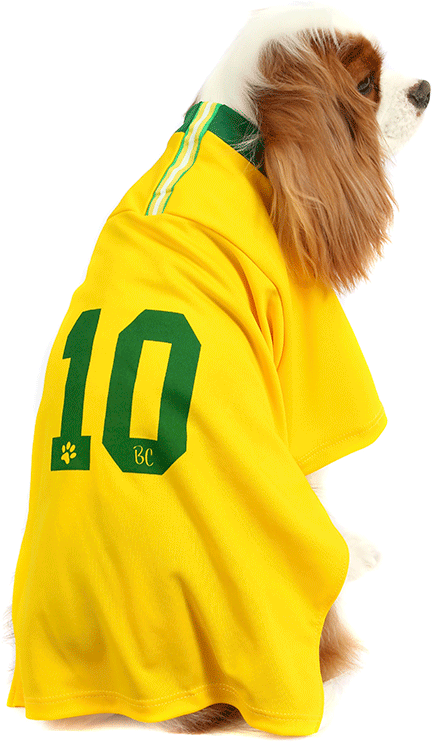 Camiseta Brasil Bichinho Chic para Cães e Gatos - Tam. 09