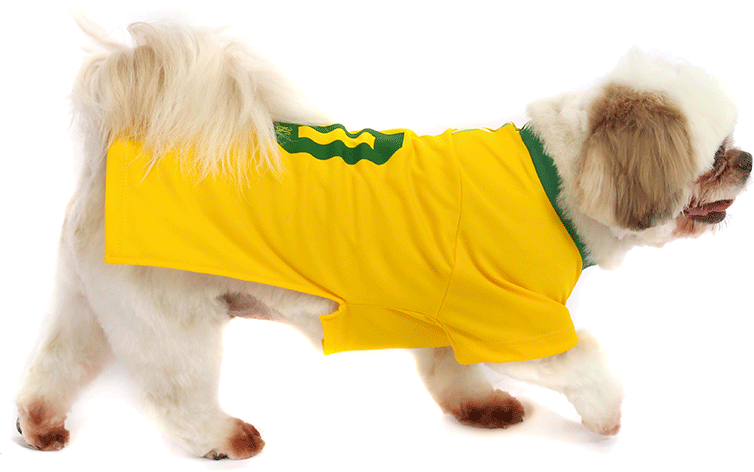Camiseta Brasil Bichinho Chic para Cães e Gatos - Tam. 09