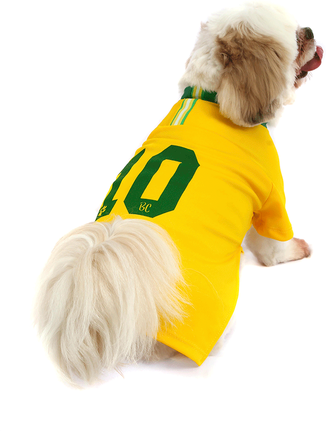 Camiseta Brasil Bichinho Chic para Cães e Gatos - Tam. 09