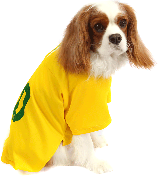 Camiseta Brasil Bichinho Chic para Cães e Gatos - Tam. 09