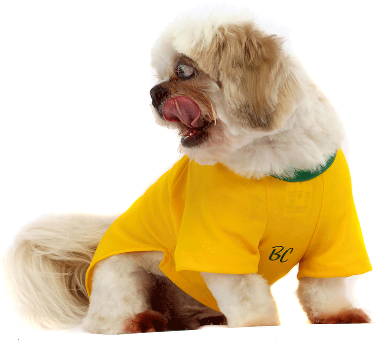 Camiseta Brasil Bichinho Chic para Cães e Gatos - Tam. 09