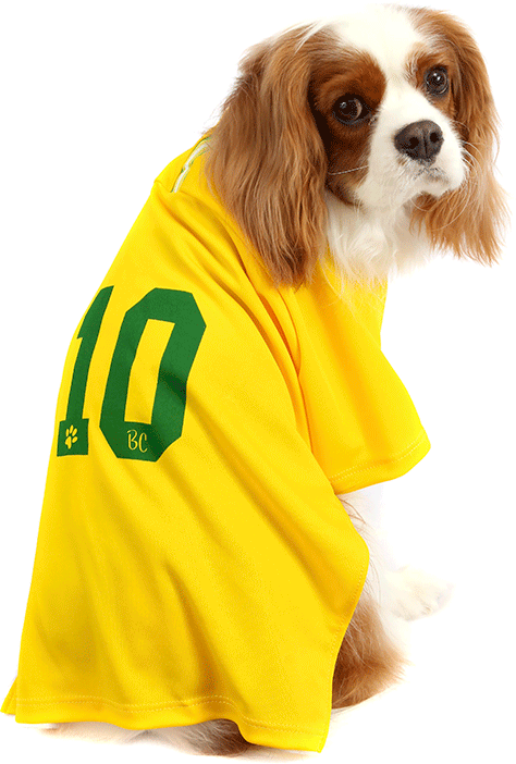 Camiseta Brasil Bichinho Chic para Cães e Gatos - Tam. 09
