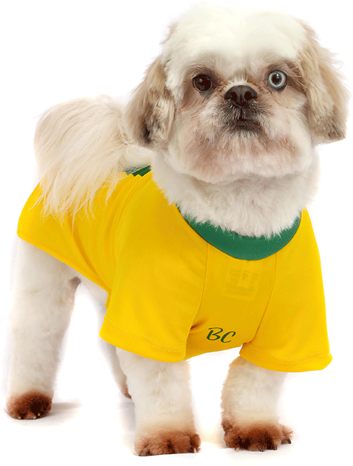 Camiseta Brasil Bichinho Chic para Cães e Gatos - Tam. 09