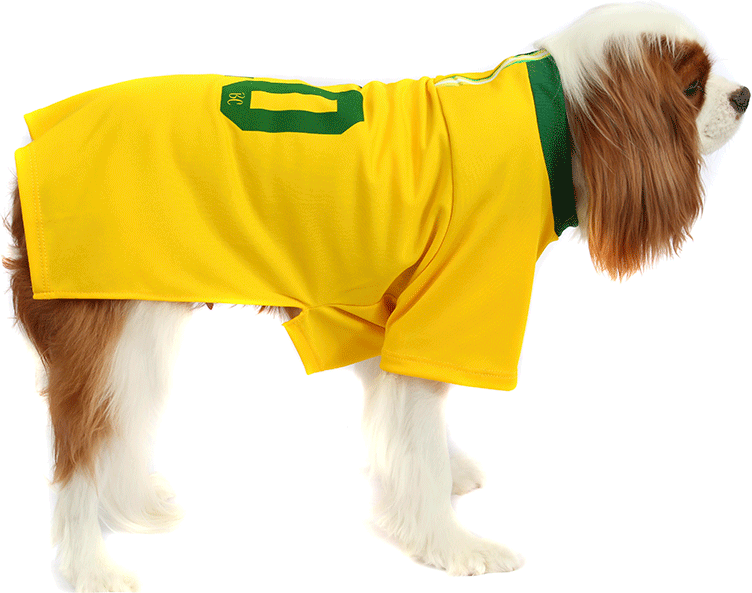 Camiseta Brasil Bichinho Chic para Cães e Gatos - Tam. 09