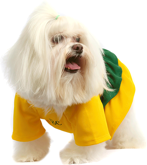 Vestido Brasil Bichinho Chic para Cães e Gatos - Tam. 01