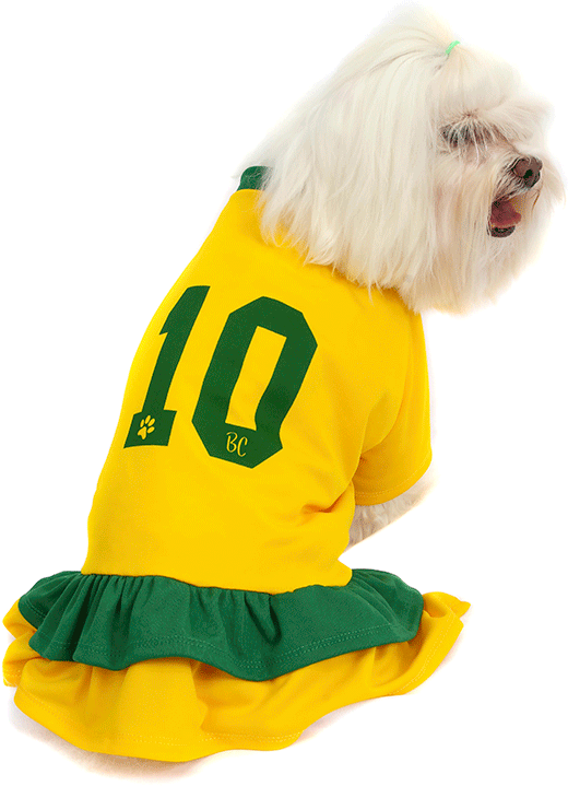 Vestido Brasil Bichinho Chic para Cães e Gatos - Tam. 01