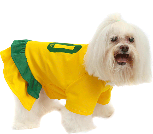 Vestido Brasil Bichinho Chic para Cães e Gatos - Tam. 01