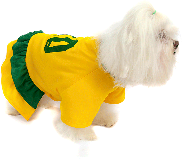 Vestido Brasil Bichinho Chic para Cães e Gatos - Tam. 01