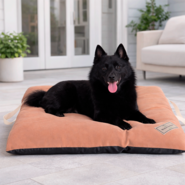 Almofada Pickorruchos Supreme Cappuccino para Cães e Gatos - Tam. G