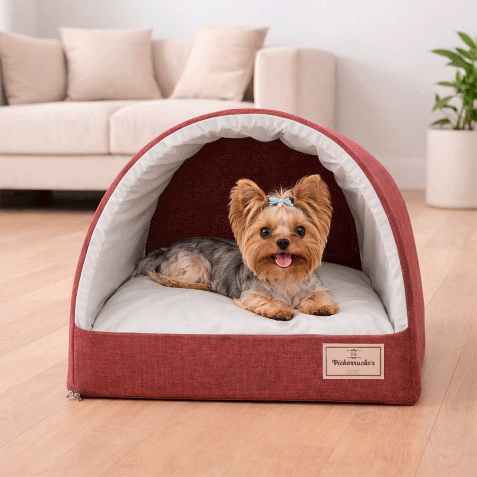 Toca Iglu Pickorruchos Choco para Cães e Gatos - Tam. P