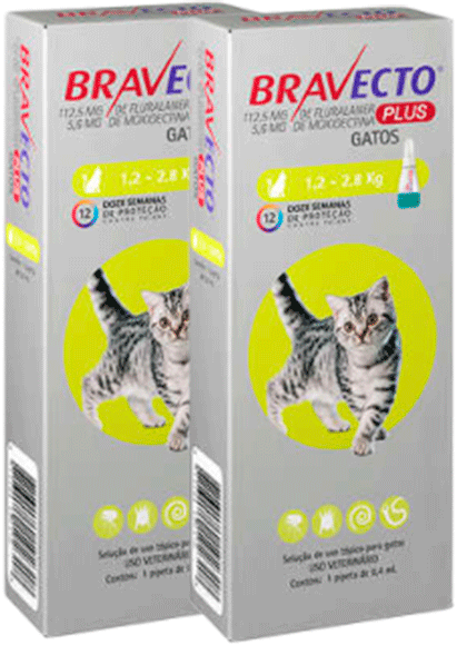 Antipulgas Bravecto Transdermal Plus 112,5 mg para Gatos de 1,2 a 2,8Kg - 1 Pipeta