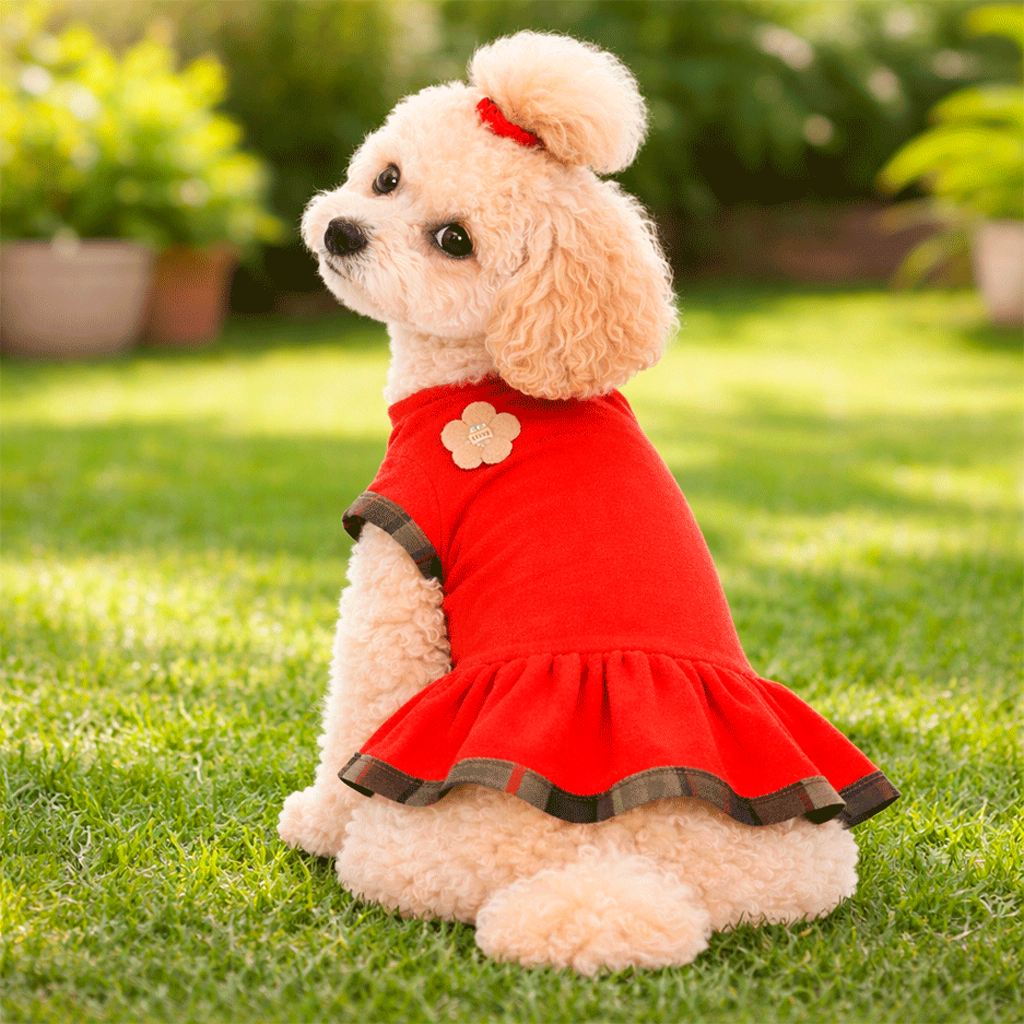 Vestido Soft Pickorruchos Lovely Rubi - Tam. 04