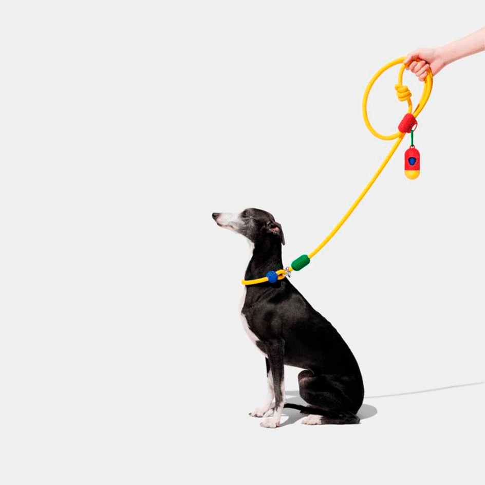 Guias de Mãos Livres Vetreska Chroma para Cães - Tam. Único
