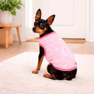 Blusa Pickorruchos My Dream Rosa - Tam. 00