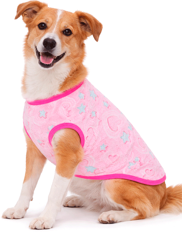 Blusa Pickorruchos My Dream Rosa - Tam. 06