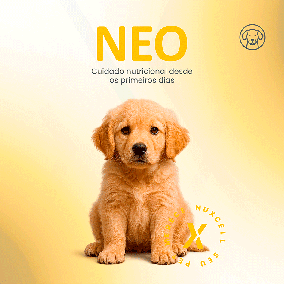 Suplemento Vitamínico Biosyn Nuxcell Neo 2 g - 1 Aplicador