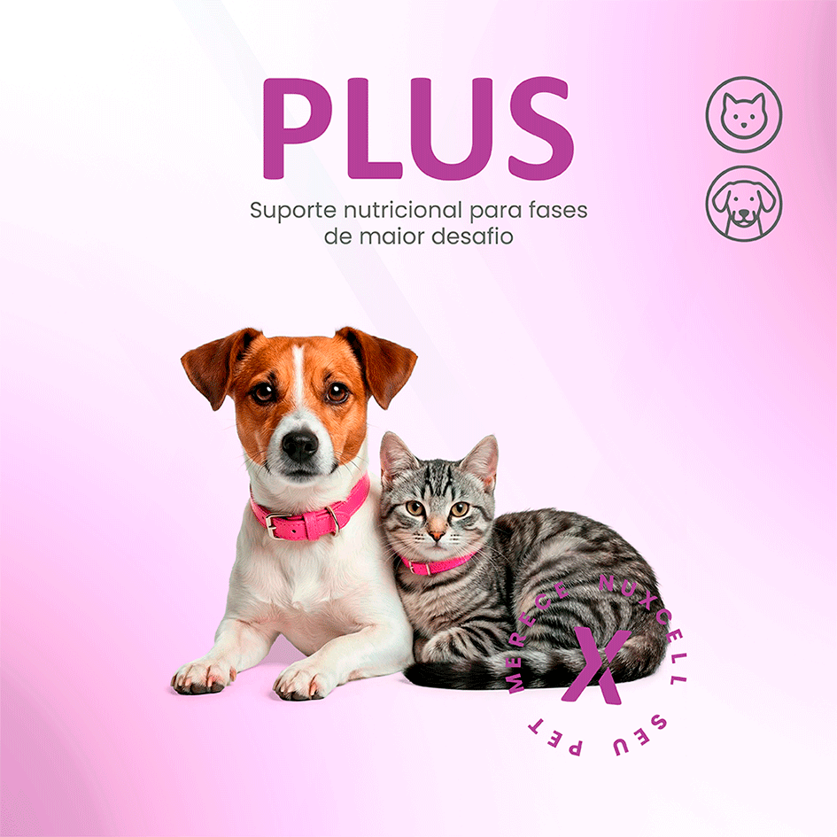 Suplemento Vitamínico Biosyn Nuxcell Plus 2 g - 1 Aplicador