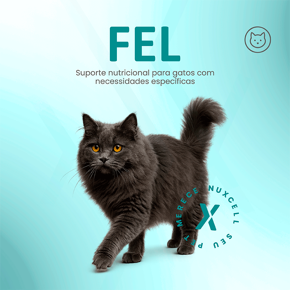 Suplemento Vitamínico Biosyn Nuxcell Fel para Gatos - 1 Aplicador