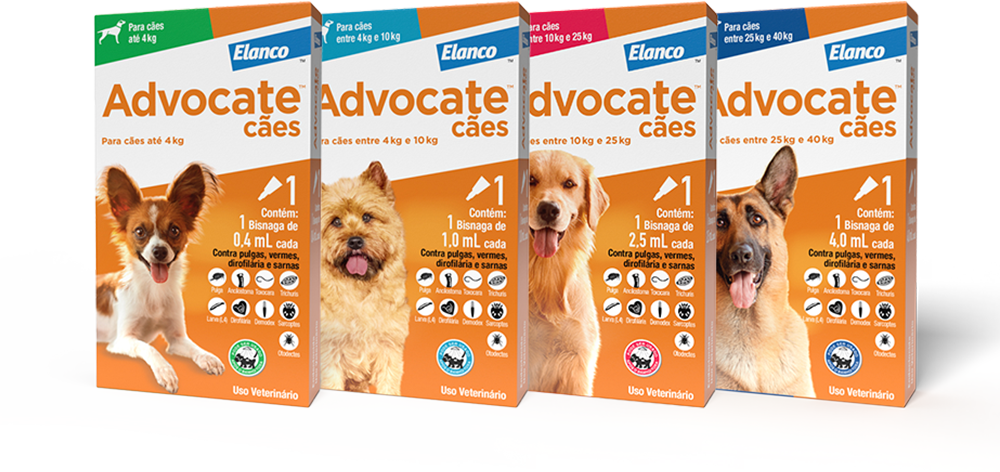 Antipulgas e Vermicida Advocate 250 mg para Cães de 10 a 25Kg - 1 Pipeta