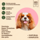 Ração Seca Quatree Supreme Dermasense Cordeiro e Salmão para Cães Adultos Raças Pequenas