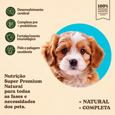 Ração Seca Quatree Supreme Frango e Batata Doce Cães Filhotes Raças Pequenas