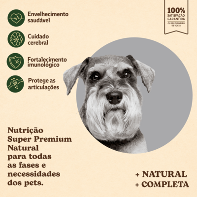 Ração Seca Quatree Supreme Salmão e Frango Cães Sênior +7 Raças Pequenas