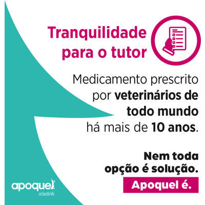 Apoquel Dermatológico Zoetis para Cães