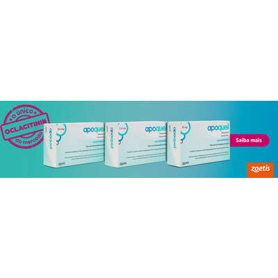 Apoquel Dermatológico Zoetis para Cães