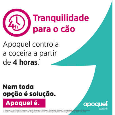 Apoquel Dermatológico Zoetis para Cães