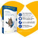 Antipulgas e Carrapatos Zoetis Revolution 6% para Gatos de 2,5 a 7,5 kg - 45 mg