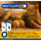 Antipulgas e Carrapatos Zoetis Revolution 12% para Cães de 2,5 a 5 kg - 30 mg