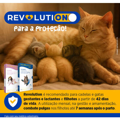Antipulgas e Carrapatos Zoetis Revolution 12% para Cães de 2,5 a 5 kg - 30 mg