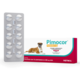 Inodilatador Vetnil Pimocor Pimobendan 5 mg para Cães