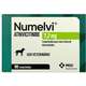 Tratamento para Coceira Numelvi 7,2 mg para Cães