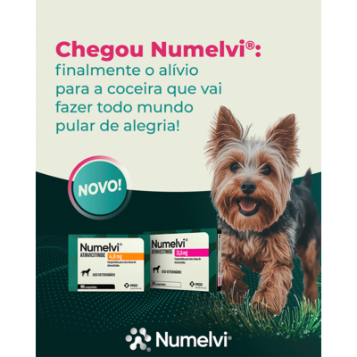Tratamento para Coceira Numelvi 4,8 mg para Cães