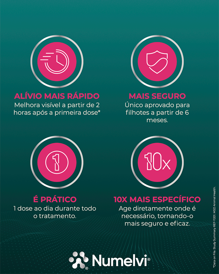 Tratamento para Coceira Numelvi 7,2 mg para Cães - 90 comprimidos