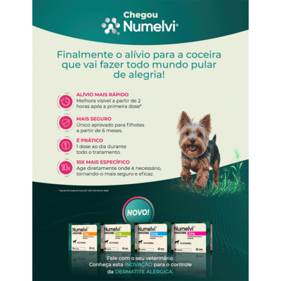 Tratamento para Coceira Numelvi 21,6 mg para Cães”