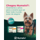 Tratamento para Coceira Numelvi 31,6 mg para Cães