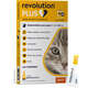 Antiparasitário Zoetis Revolution Plus 0,25 mL para Gatos de 1,25 Kg a 2,5 Kg