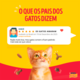 Ração Seca Purina Friskies Frango e Leite para Gatos Filhotes