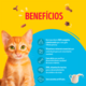 Ração Seca Purina Friskies Frango e Leite para Gatos Filhotes
