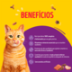 Ração Seca Nestlé Purina Friskies Megamix para Gatos Adultos