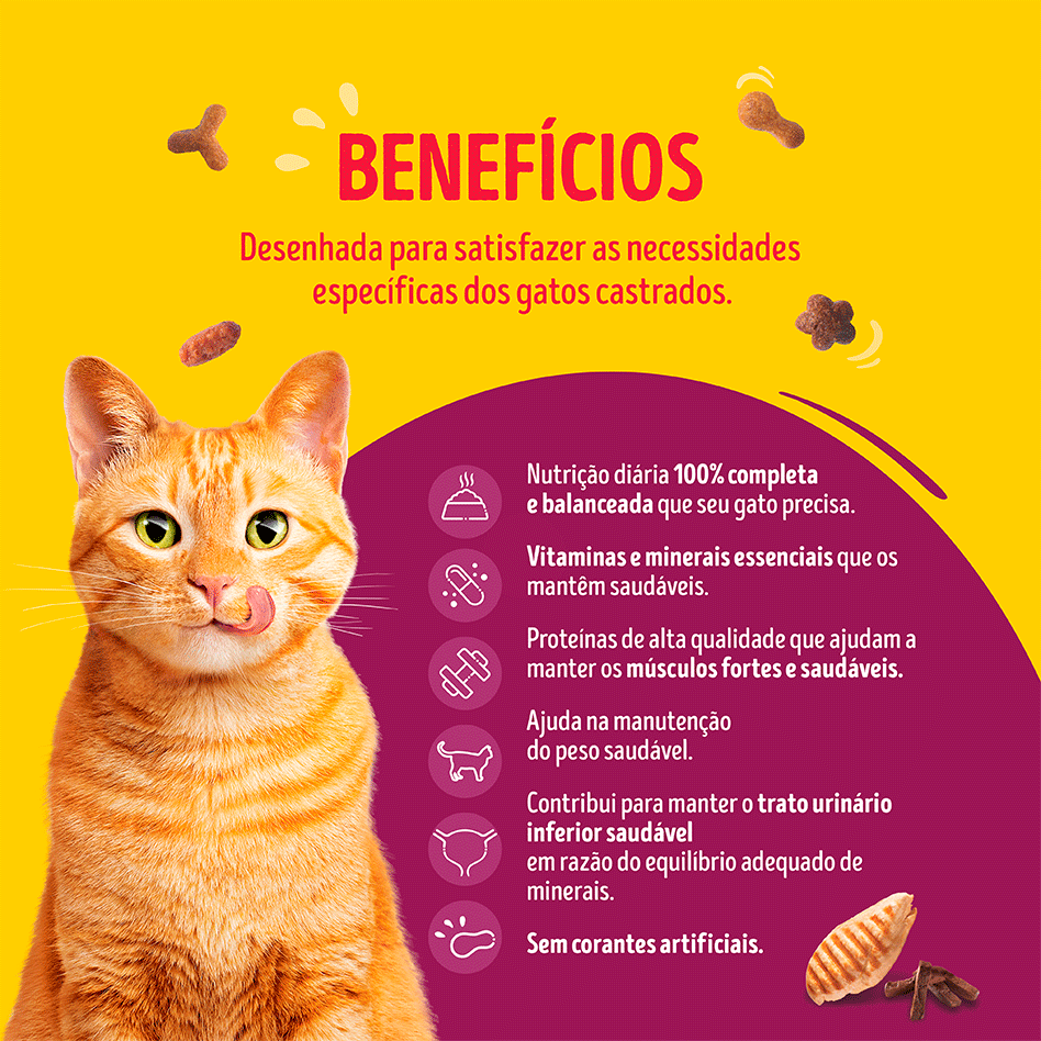 Ração Seca Nestlé Purina Friskies Mix de Carnes para Gatos Castrados - 10,1Kg